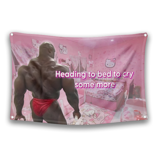 Heading To Bed Flag