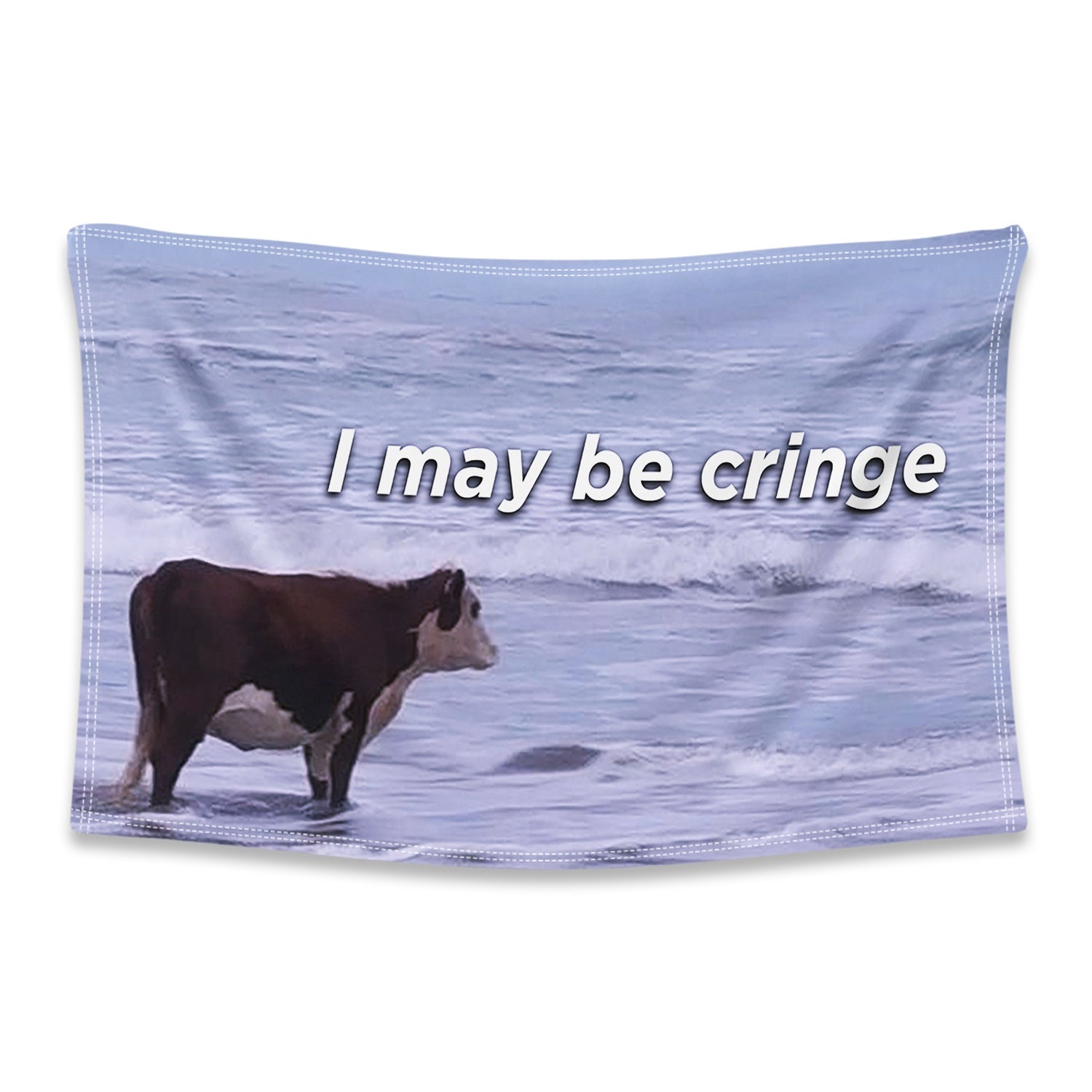 I May Be Cringe Flag – ThiccFlags